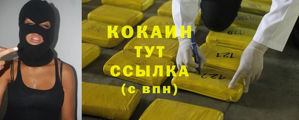 индика Краснотурьинск
