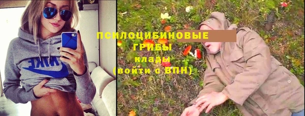 кристаллы Краснослободск