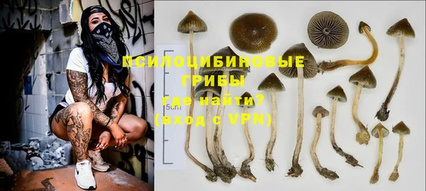 индика Краснотурьинск
