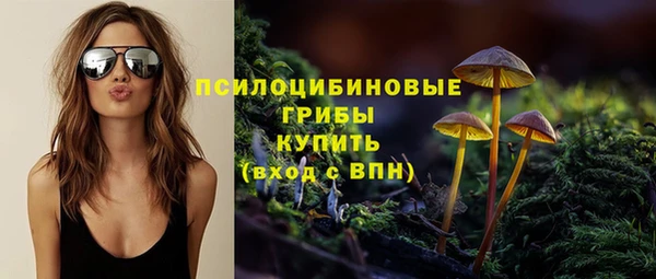 твердый Корсаков