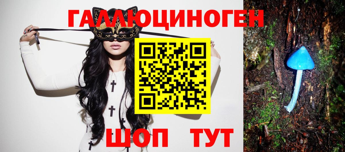 Псилоцибиновые грибы Psilocybe  купить   Качканар  Вход с VPN 