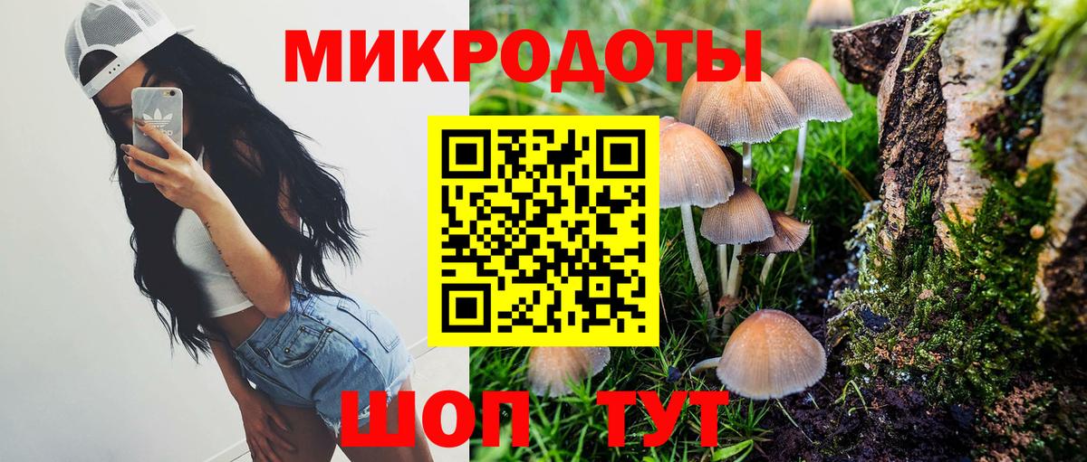 Галлюциногенные грибы GOLDEN TEACHER Качканар